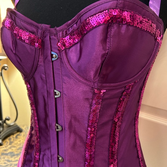 NWOT Purple and Hot Pink sequined stripes comes with g-string - Picture 4 of 5